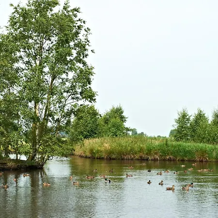 فندق Vareler Brauhaus-hotel Dangast 3*